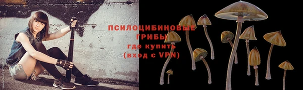 винт Алексеевка